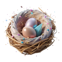 wonderful traditional Bird Nest Empty After Fledging Transparent Background exclusive png