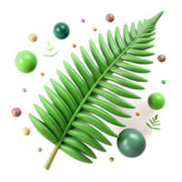 stunning rustic Fern Fronds Green Isolated Element detailed png
