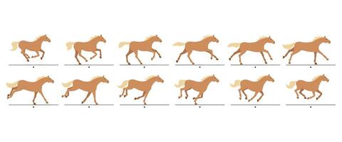 Cartoon running horse animation frames. Galloping, horses gait movement cycle sequence, animated canter. Racehorse running isolated illustration set vector