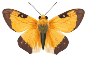 A vibrant yellow and brown butterfly with intricate wing patterns. png