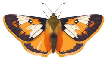 A vibrant illustration of a butterfly with intricate orange, white, and black wing patterns. png