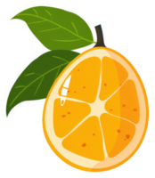 A vibrant illustration of a sliced orange with leaves. png