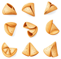 Assorted fortune cookies in various configurations. png