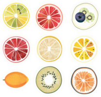 Colorful fruit slices art design in a circular pattern. png