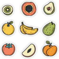 A collection of colorful and simple illustrations of various fruits. png