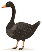 A side view of a dark-colored goose. png