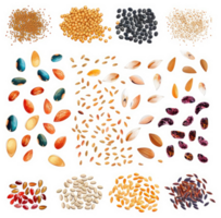 Diverse assortment of seeds and grains displayed in a grid pattern. png