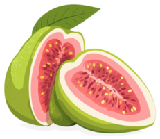 Two halves of a guava fruit with a leaf. png