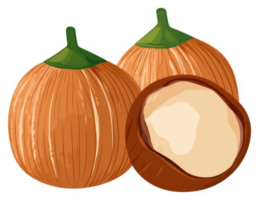 Two whole and half hazelnuts displayed in a close-up image. png