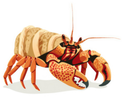A colorful illustration of a hermit crab in a protective shell. png