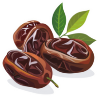A close-up view of three delicious dates with leaves. png