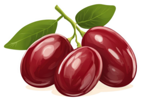 A cluster of vibrant, glossy red plums on a stem. png