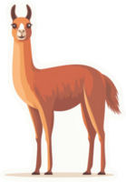 A friendly llama in profile view. png