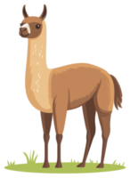 A cartoon illustration of a llama standing on a grassy field. png
