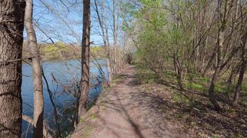 Meandering along a forest path in spring by the river, under trees with new green growth. video