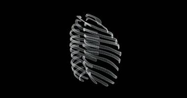 Hologram screen of sternum and ribs in thorax of a human skeleton loop video