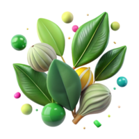wonderful minimalist Mangrove Leaves and Seeds Isolated Element png