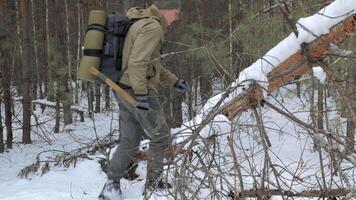 Bushcrafter Cutting Fallen Tree in Winter Forest, Man in winter forest cutting a fallen tree with an axe for survival and bushcraft video