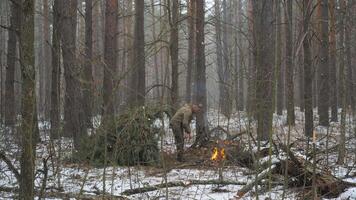 Bushcraft in a Snowy Forest with a Campfire, A man practices bushcraft skills in a snow-dusted forest, building shelter and tending to a fire video