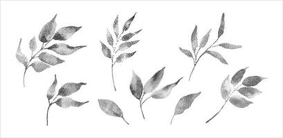 A set of black and white leaves on a white background vector