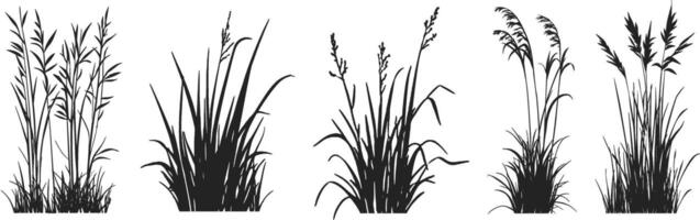 A set of black and white drawings of grass vector