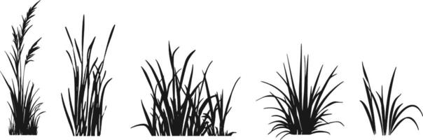 A set of black and white images of grass vector