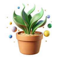 beautiful artistic Plant Growing in Pot Side View Transparent Background high quality png