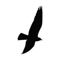 Silhouette of a Bird in Flight on White Background vector