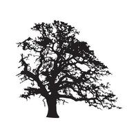 Black Silhouette of Oak Tree vector