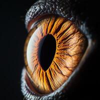 Eye Structure of Exotic Reptile Captured in Detail photo