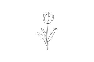 elegant single tulip line drawing in minimal style vector