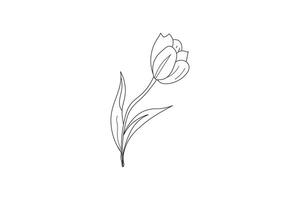 clean line art of tulip with soft botanical charm vector