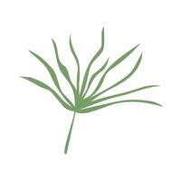 simple leaves, leaf with graphic green color vector