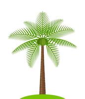 coconut tree simple isolated on white, illustration coconut palm tree, coconut tree for clip art, palm tree on small hill island vector