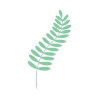 simple leaves, leaf graphics green color vector