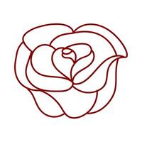 rose simple outline, rose graphic line vector