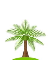 coconut tree simple isolated on white, illustration coconut palm tree, coconut tree for clip art, palm tree on small island vector