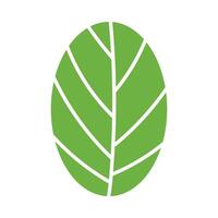 simple leaves, a leaf graphic green color vector