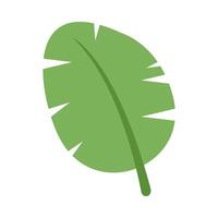 banana simple leaves, banana leaf graphic vector