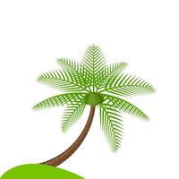 coconut tree simple isolated on white, illustration coconut palm tree, coconut tree for a clip art vector