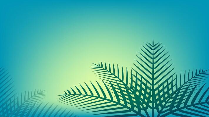 coconut leaf simple on ocean blue soft color for background, illustration of coconut leaves, palm stalk, leaf coconut green soft for wallpaper