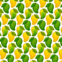 mango ripe and raw mango for background, mango pattern yellow green for illustration, clip art mango fruit pattern for a wallpaper vector