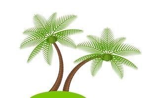 coconut tree simple isolated on white, illustration coconut palm tree, coconut tree for clip art, palm tree on island vector