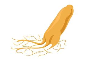 ginseng isolated on white, ginseng root, clip art ginseng vector