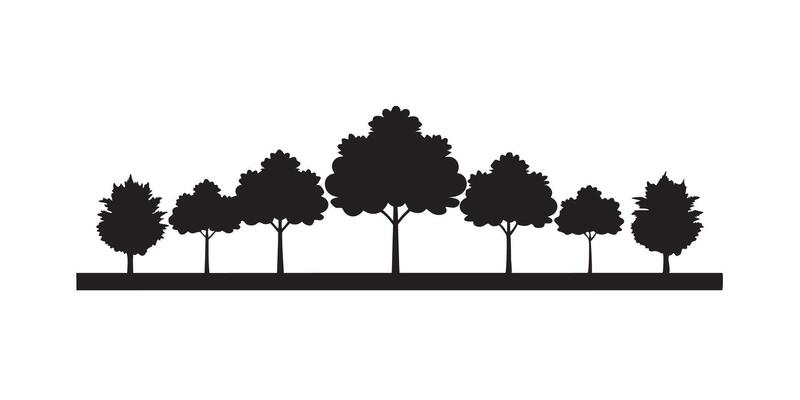 Tree line composition silhouette scene