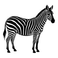 Graphic Zebra Illustration Black And White Silhouette Standing On Plain Background vector