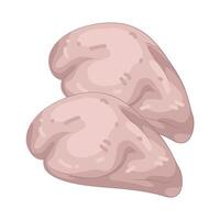 Illustration of Chicken Breast vector