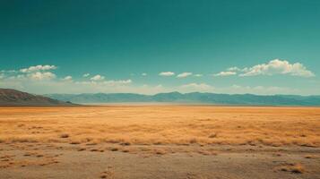 Unreal Visions in the Desert Expanse photo