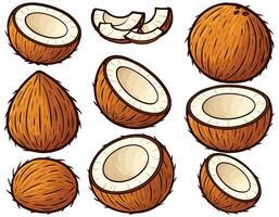 Cartoon Style Coconut Collection vector