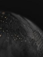 Complex Natural Designs in Bird Feathers.jpeg photo
